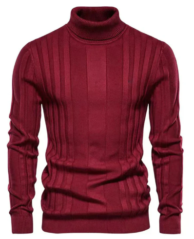 Classic ribbed turtleneck for men