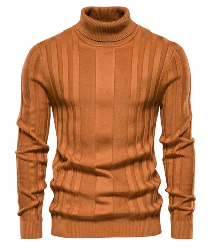 Classic ribbed turtleneck for men